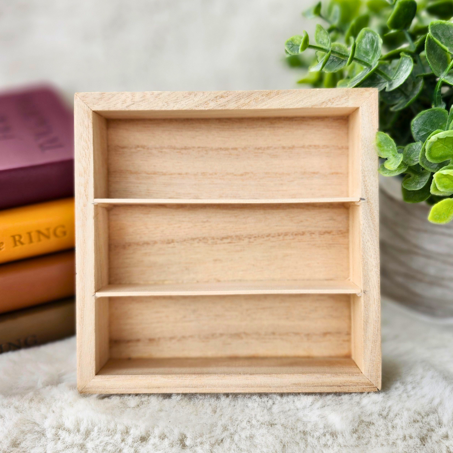 Blank Mini Bookcase