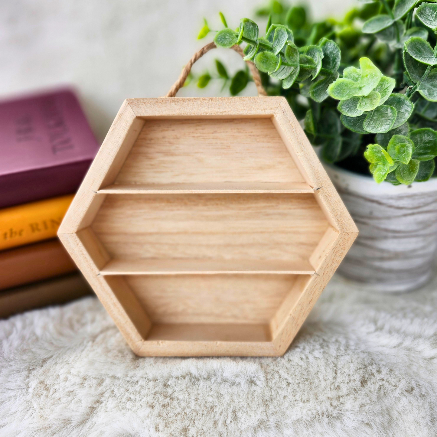Blank Mini Bookcase