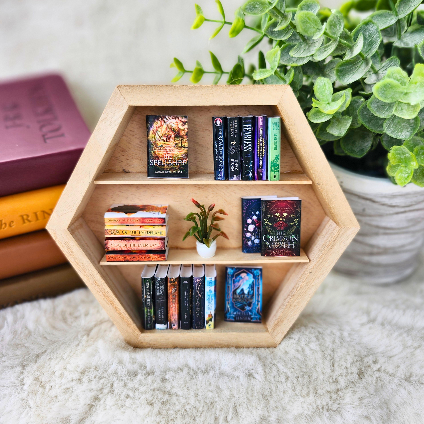 Custom Mini Bookcase